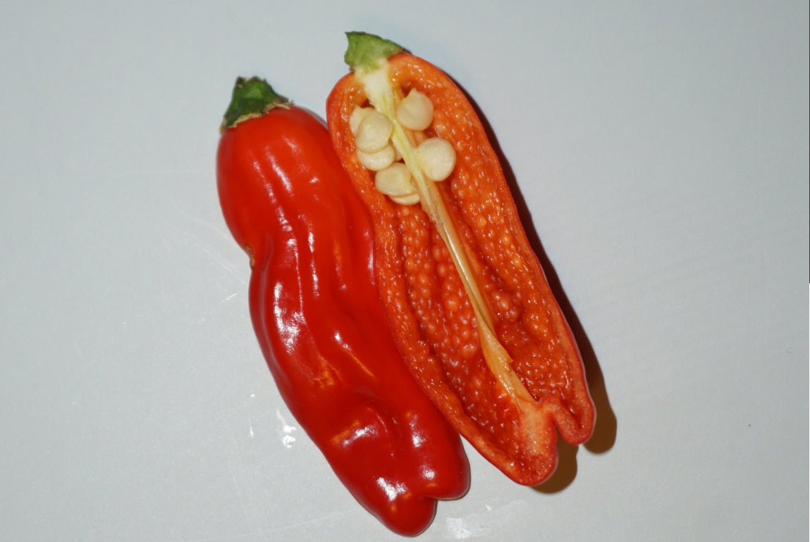 Can Cayenne Make You Horny? The Spicy Truth About Capsaicin and Your Sex Life