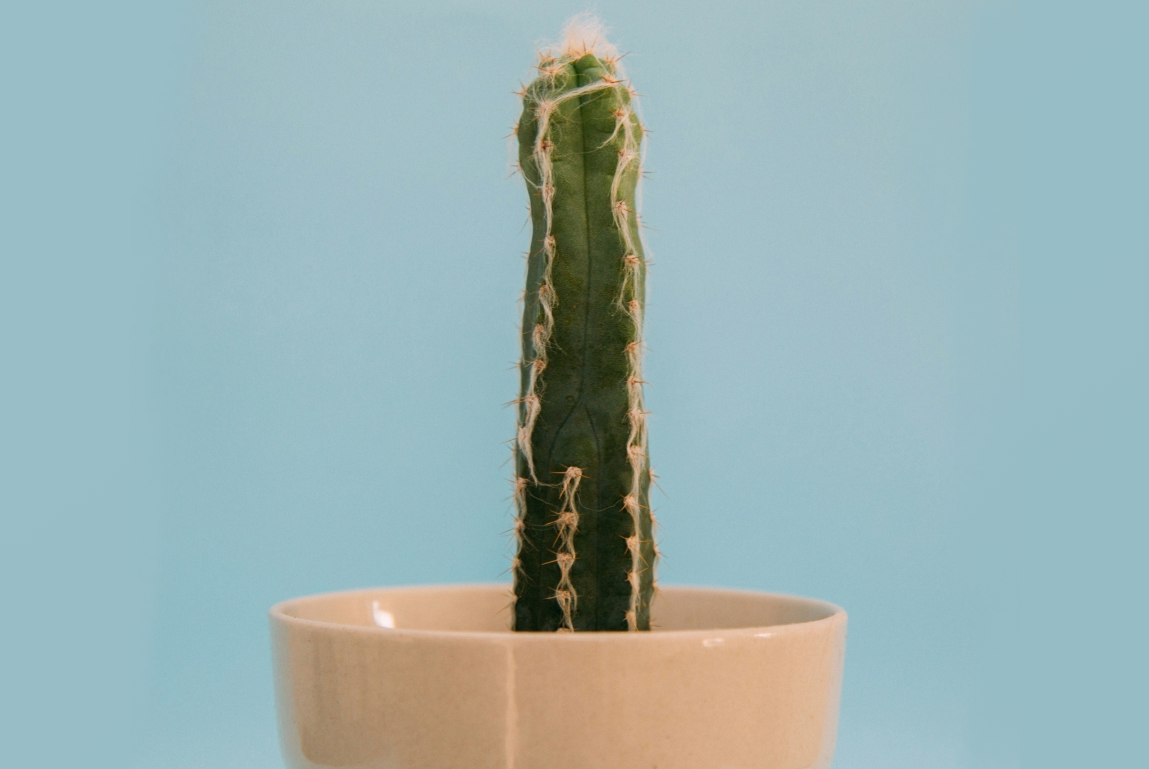 10 Erectile Dysfunction Myths You Shouldn’t Believe