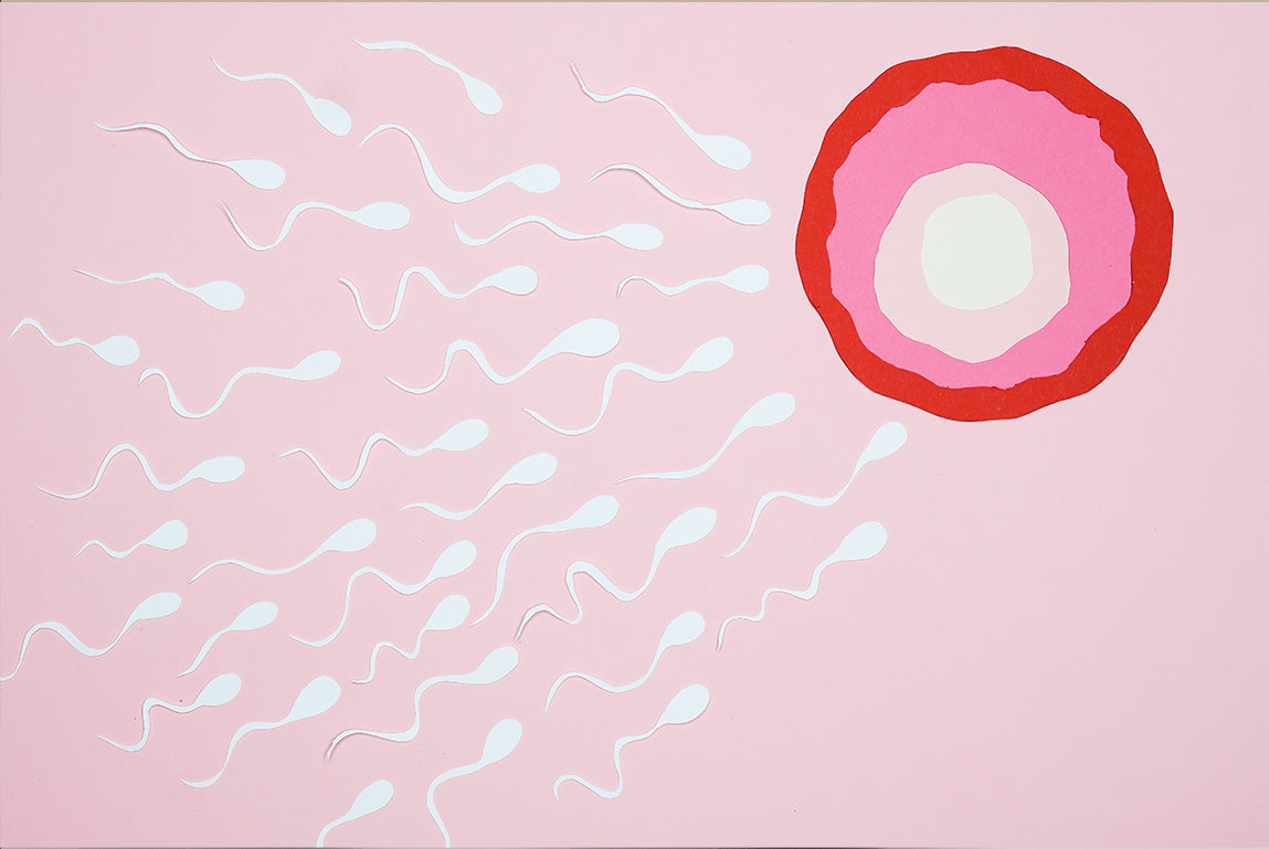 Low Sperm Count