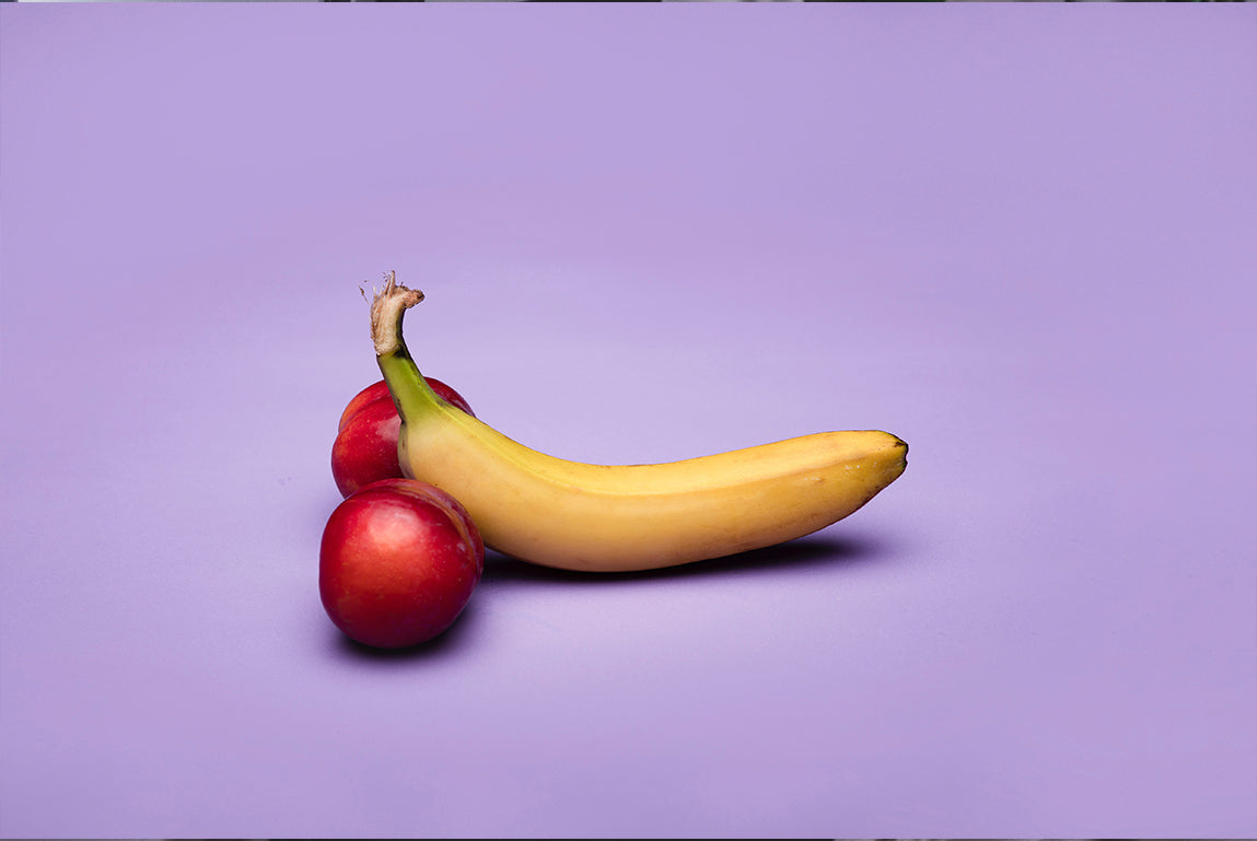 Penis Anatomy