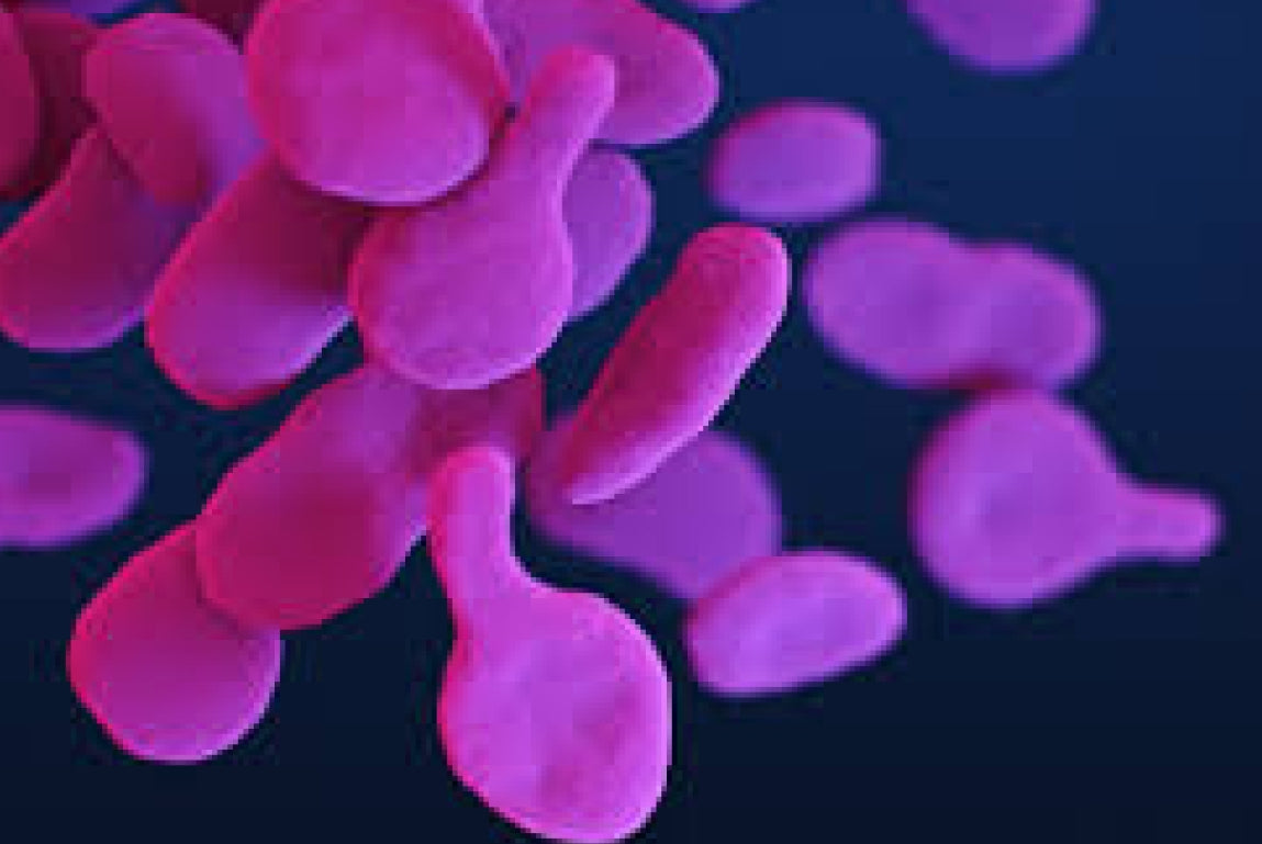 MGen: Symptoms, Testing, and Treatment Explained – Popstar Labs