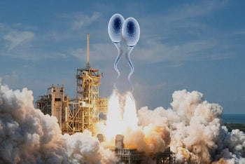 Can Humans Reproduce in Space? A Guide to Galactic Fertility