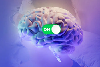 Knock Boots, Boost Brains: Sex and Brain Health Explained