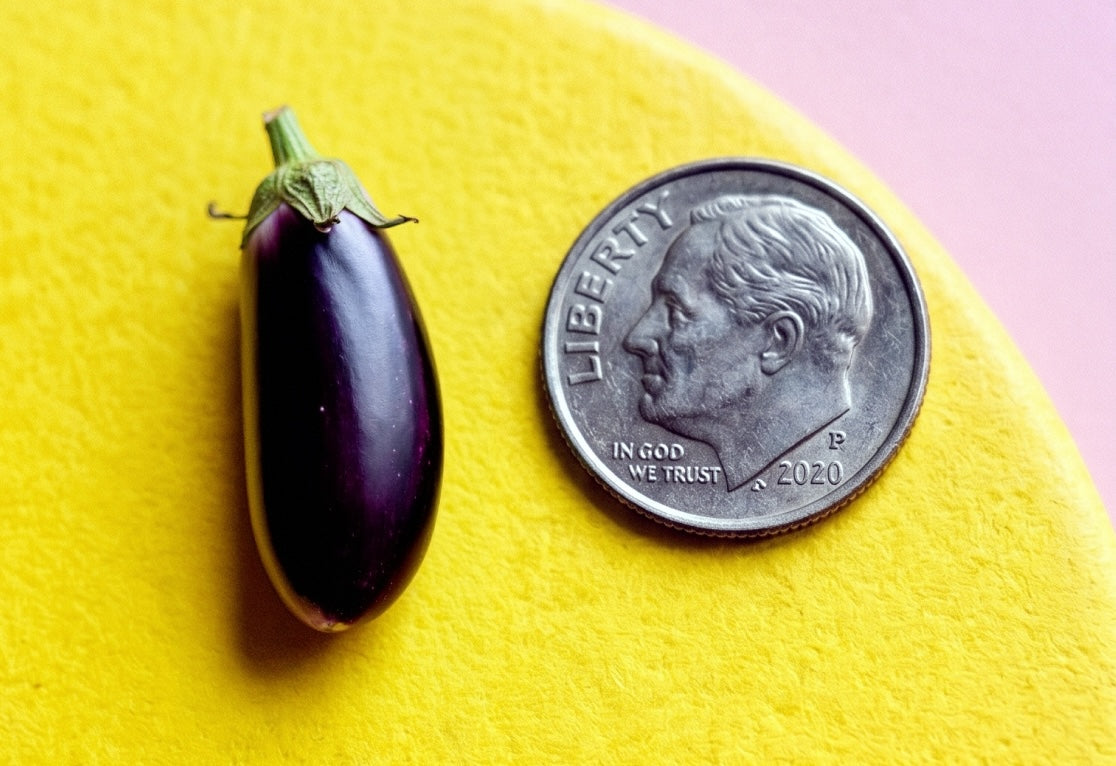 Micropenis: Why Your Measurement Anxiety Is Probably Wrong