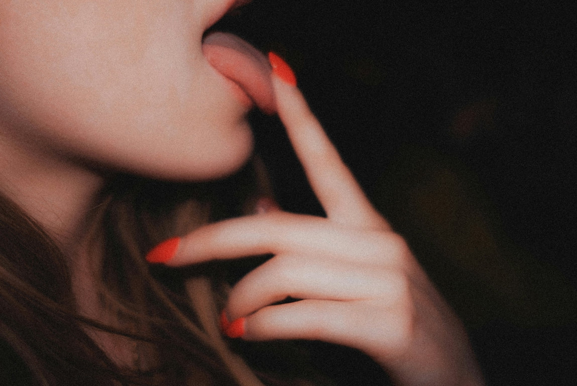 The Lesbian Porn Guide: Authenticity, Art, and the U-Haul Fantasy 